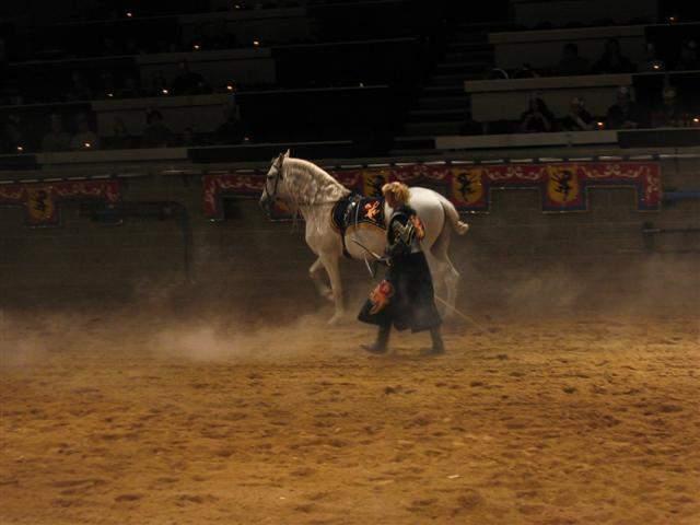 Medieval Times - Shannons 23rd Bday 32.JPG